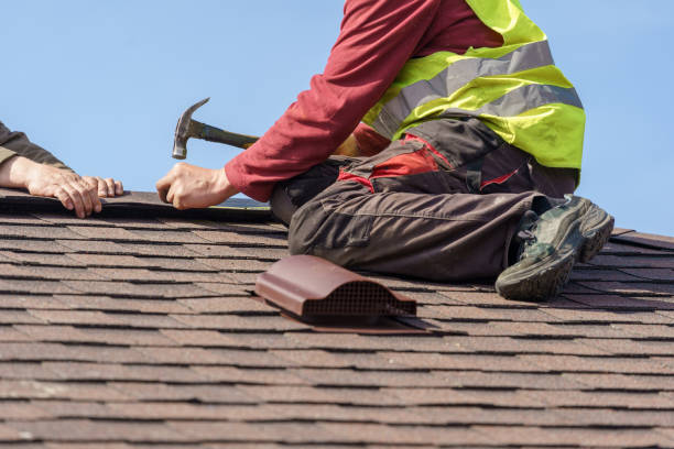 Best Roof Gutter Cleaning  in Freeport, PA